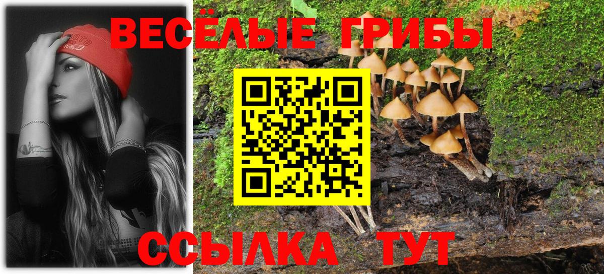 Малгобек  Галлюциногенные грибы прущие грибы  Вход с VPN 